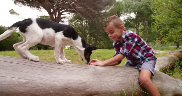 Garçon allongé sur une bûche avec chien chiot — Video