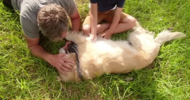 Папа играет со своим сыном и их собакой на улице — стоковое видео