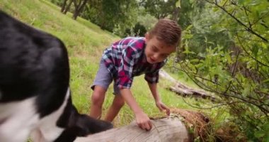 Yavru köpeğiyle oynayan çocuk