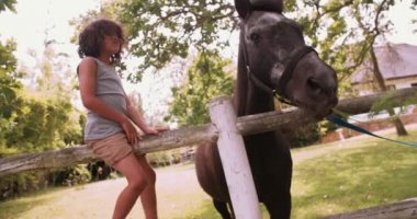 Çocuk besleme at çiftliğinde bir havuç