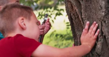 Bir ağaç gövdesi bir büyüteç ile okuyan çocuklar