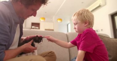 Kedi evlat için evde beslenen hayvan kanepede tutan baba