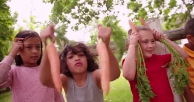 havuç ve arkadaşları ile aptallık çocuk