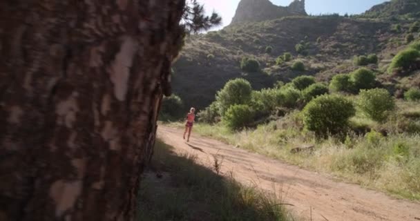 Jogger on a dirt path in nature — Stock Video