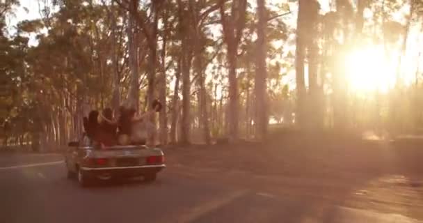 Adolescentes amigos fazendo uma viagem de carro — Vídeo de Stock