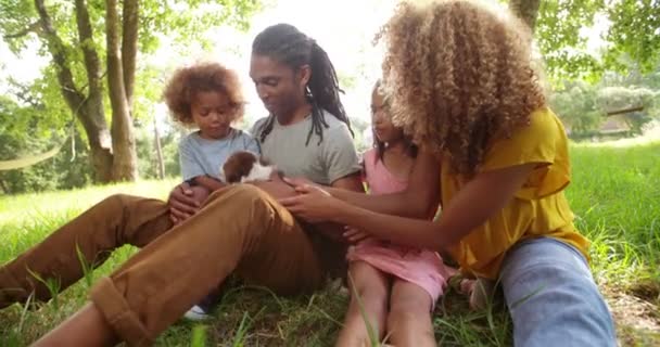 Papá se ríe mientras su esposa recibe besos de cachorro — Vídeo de stock