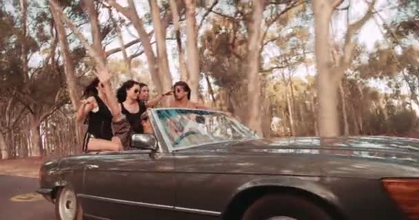 Friends raising arms to celebrate their road trip — Stock Video