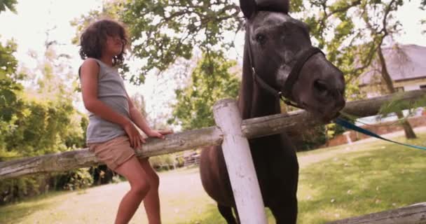 Niño alimentación caballo una zanahoria en granja — Vídeo de stock