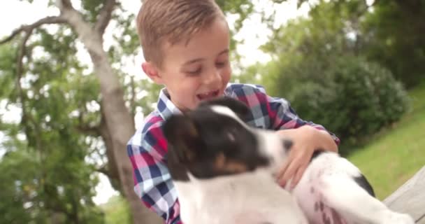 Hombre niño acariciando su mascota amigo — Vídeos de Stock