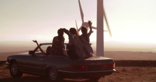 Friends walking towards car in wind park — Stock Video