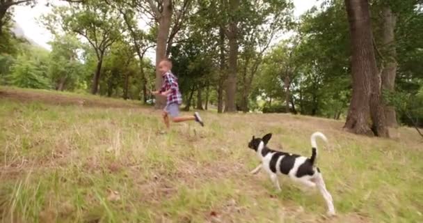 Hond speelt met stok een jongetje houdt — Stockvideo