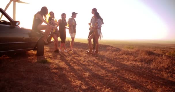 Amigos festejando ao ar livre em uma noite de verão — Vídeo de Stock