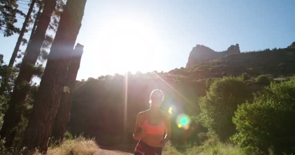 Jogger su un sentiero sterrato su un sentiero natura di montagna — Video Stock