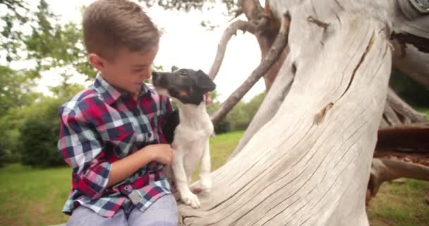 Αγόρι αγκαλιάζει τον σκύλο του κουτάβι. — Αρχείο Βίντεο