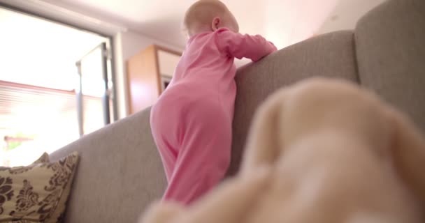 Bebê menina de pé no sofá — Vídeo de Stock