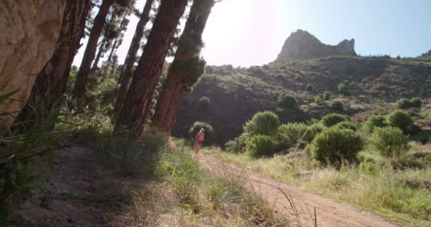 Corredor correndo em uma trilha de montanha — Vídeo de Stock