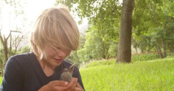 Enfant prenant soin d'un lapin à l'extérieur — Video