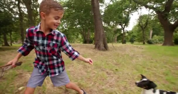 Perro jugando con palo un niño pequeño está sosteniendo — Vídeos de Stock