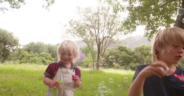 Хлопчики весело бігають після того, як літають бульбашки — стокове відео
