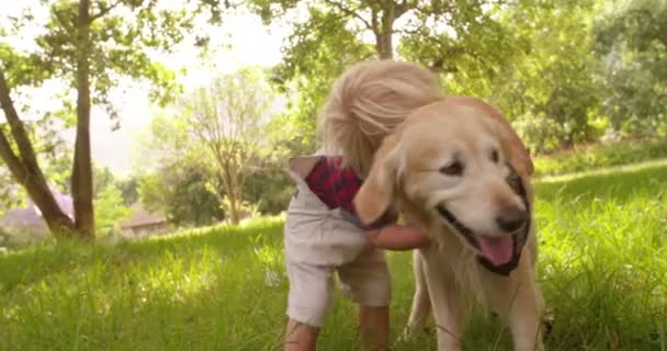 Barn husdjur en labrador retriever hund på park — Stockvideo