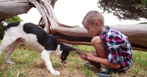 Мальчик играет с палкой и своей собакой-щенком — стоковое видео