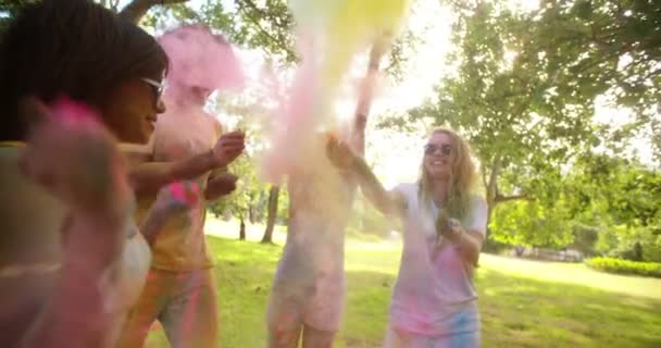 Skupina slaví Holi Festival v parku — Stock video