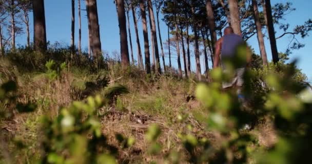 Tiro de determinado chorro afro-americano en bosque — Vídeos de Stock