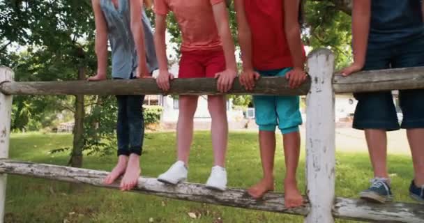 Las piernas de los niños de pie sobre una valla de madera en el parque — Vídeo de stock