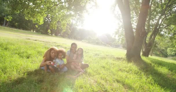 Familie verbringt hochwertige Familienzeit im Park — Stockvideo