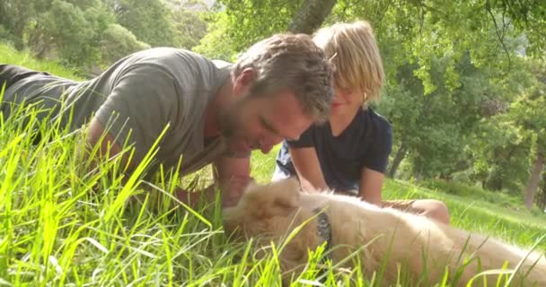 Papa joue avec son fils et leur chien dehors — Video