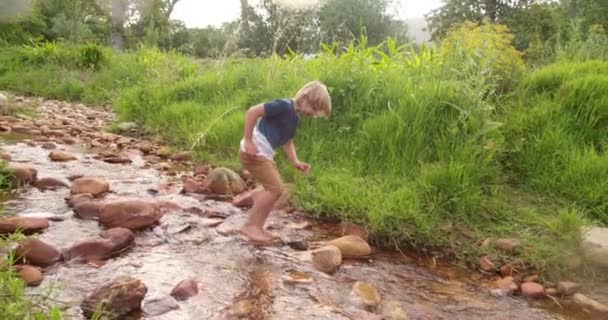 Avontuurlijk kind verkennen van de wereld en de rivier — Stockvideo