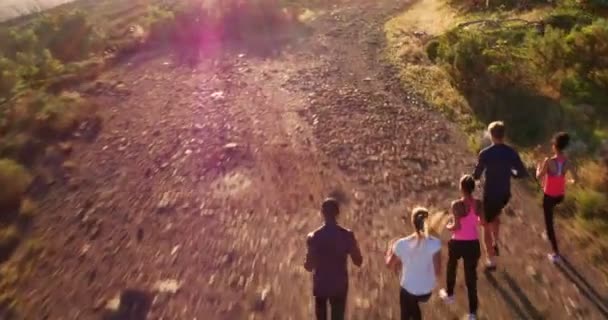 Grupo de amigos multiétnicos corriendo al aire libre — Vídeos de Stock