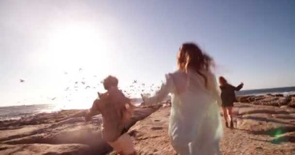 Tiener vrienden geniet van het strand en de meeuwen — Stockvideo