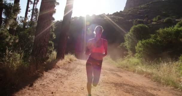 Athletic woman running on a mountain nature trail — Stock Video