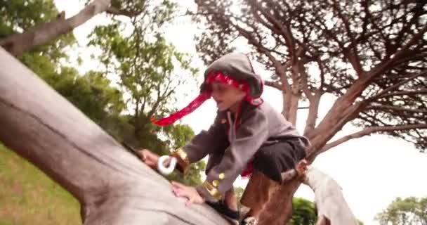 Niño disfrazado de pirata en árbol caído — Vídeo de stock