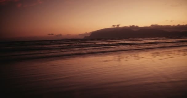 Seagulls flying above the ocean in sunset — Stock Video