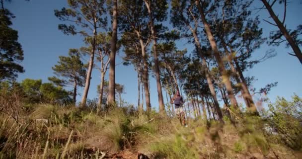 Runner trail running and jumping in forest — Stock Video