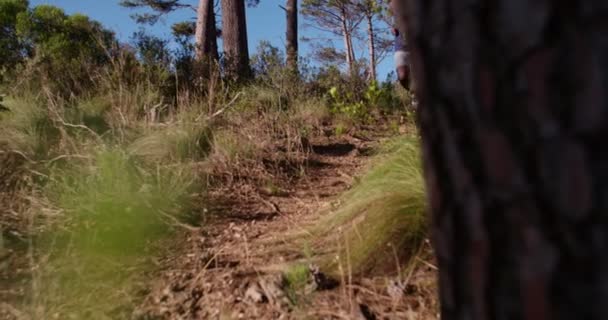 African american runner trail running in forest — Αρχείο Βίντεο