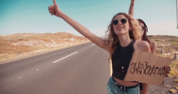 Two Hipster Girls Hitchhiking Together — Stock Video