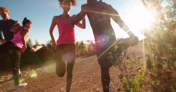 Paare wärmen sich vor dem Joggen im Freien auf — Stockvideo