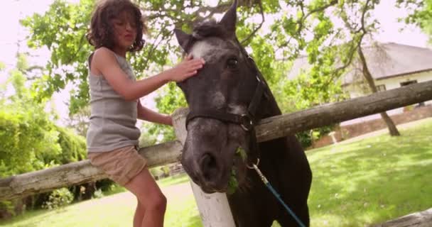 Niño alimentando caballo una zanahoria y acariciándolo — Vídeos de Stock