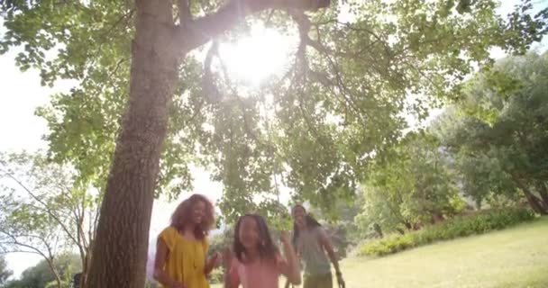 Beautiful young girl on swing. — Stock Video