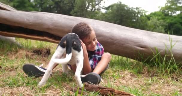 Menino brincando com pau e seu cão — Vídeo de Stock