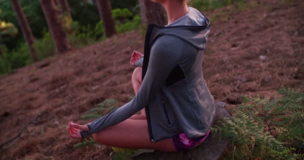 Woman in sports clothing meditating in a forest — Stock Video