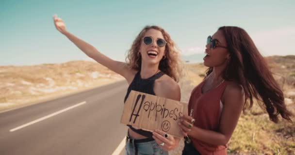 Two Hipster Girls Hitchhiking Together — Stock Video