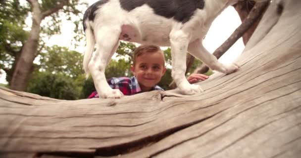 Niño y cachorro perro sentado en rama de árbol — Vídeos de Stock