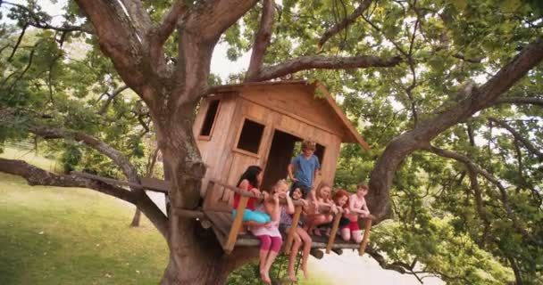 Дети сидят на краю домика на дереве на дереве — стоковое видео