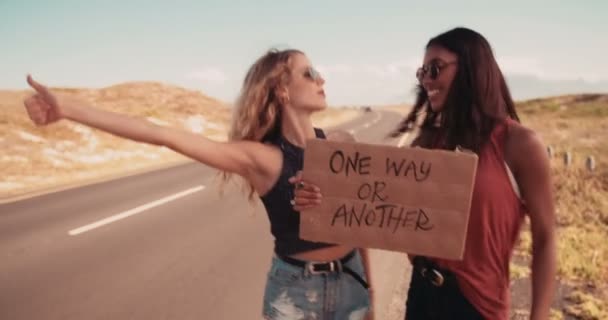 Two Hipster Girls Hitchhiking Together — Stock Video