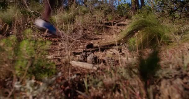 chaussures de course de coureur sur trail run 