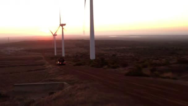 Vänner bekymmerslös i cabriolet bil under roadtrip — Stockvideo